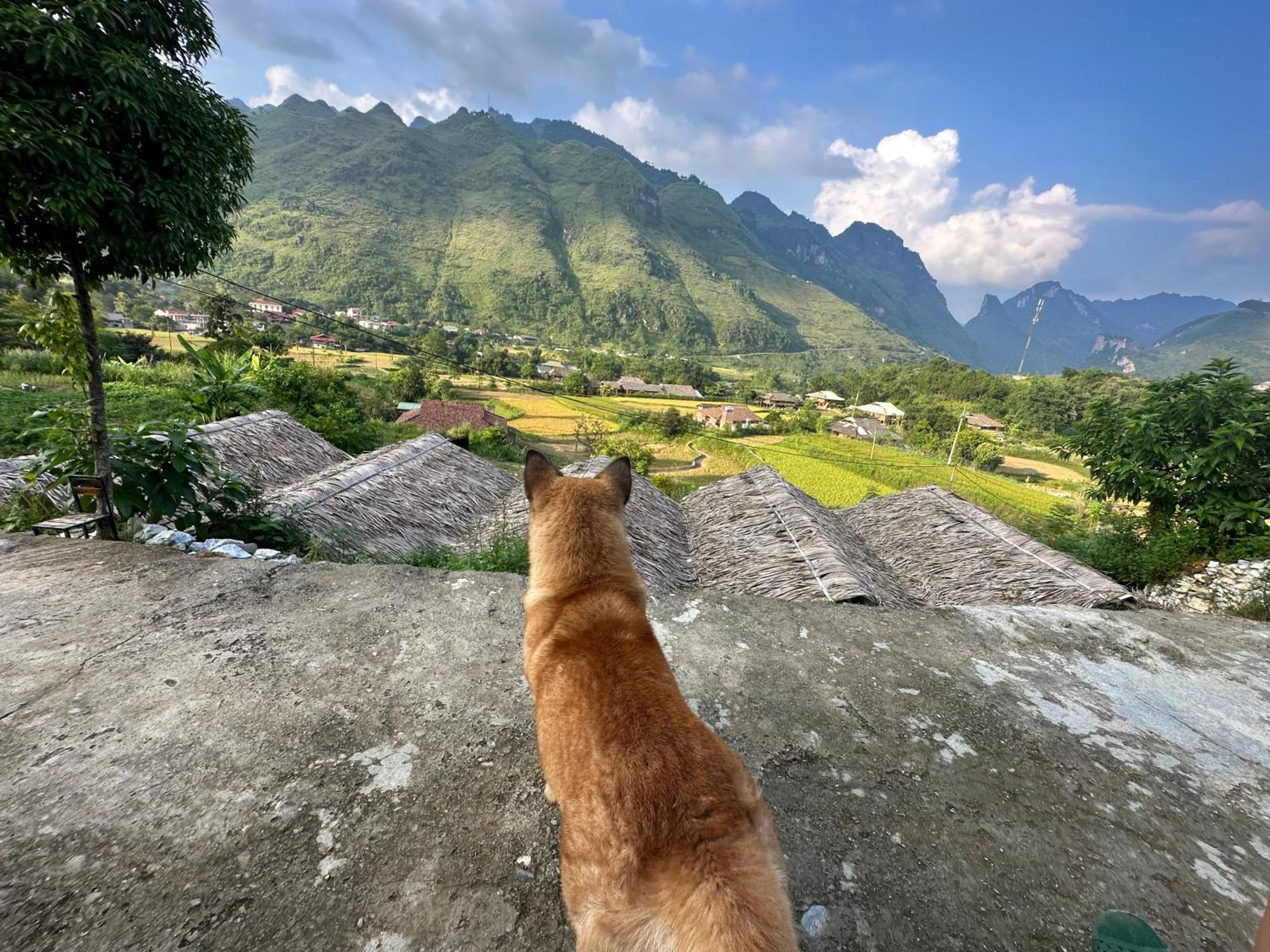 Du Gia Cozy Homestay & Tours Lang Cac Ngoại thất bức ảnh